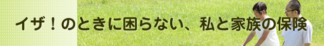 イザ！のときに困らない、私と家族の保険