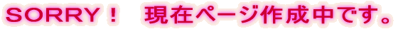 rnqqxI@݃y[W쐬łB