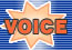 VOICE