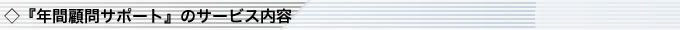 「年間顧問サポート」のサービス内容