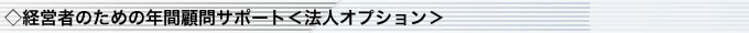 経営者のための年間顧問サポート＜法人オプション＞